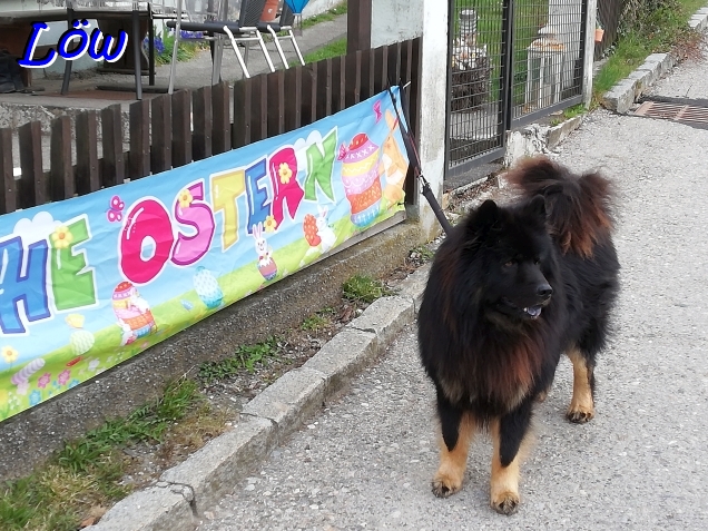4.4.2026 - Osterhasi?